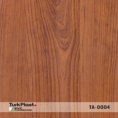 TA-0004