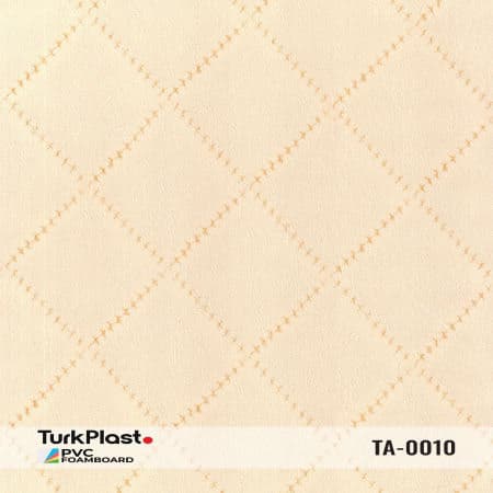 TA-0010