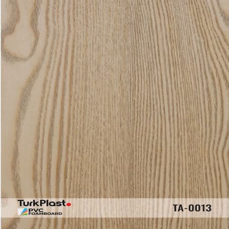 TA-0013
