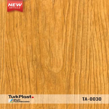 TA-0030
