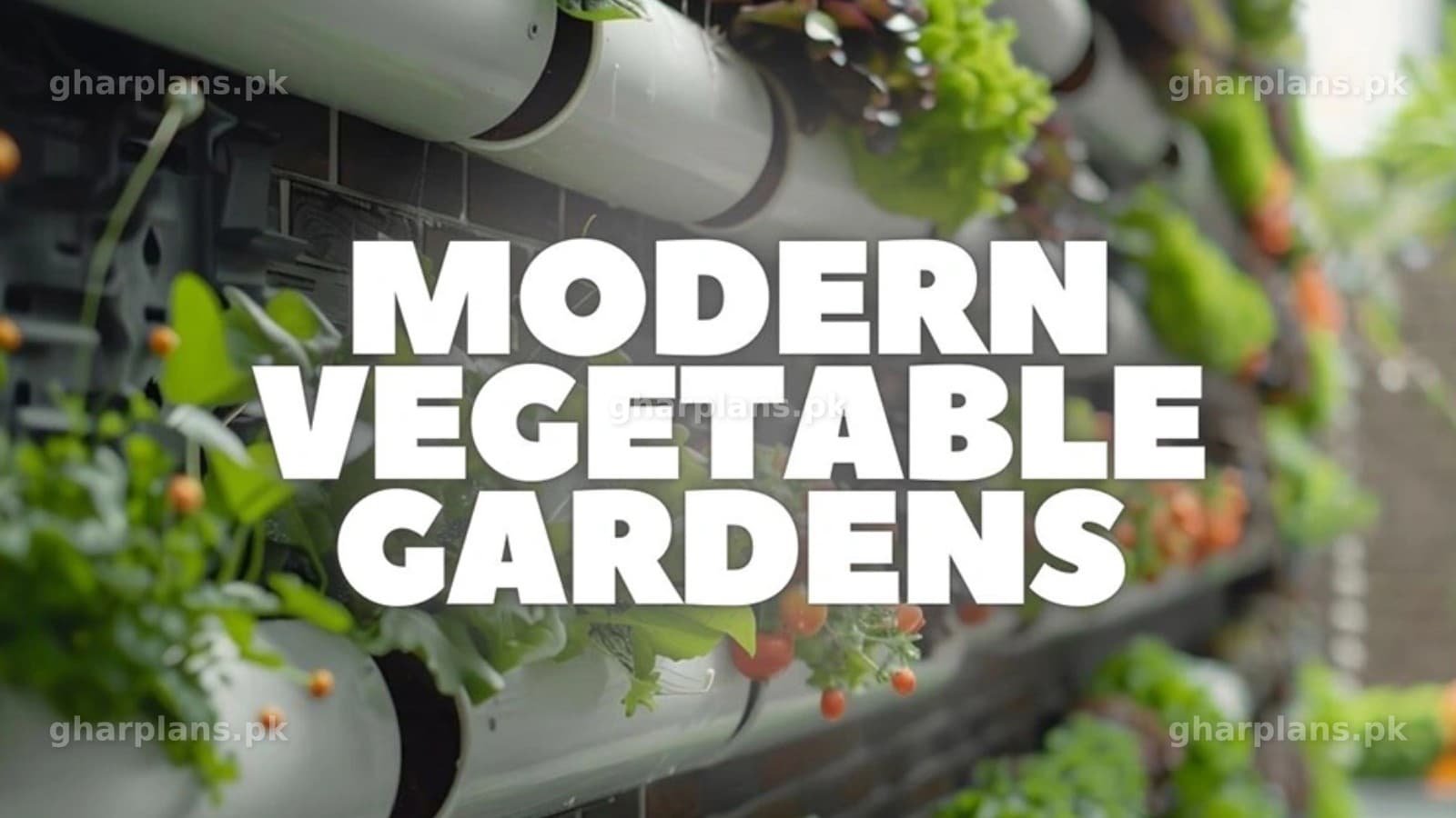 Modern Vegetable Gardens: Best Ideas for Growing Food at Pakistani Homes Modern Vegetable Gardens: Best Ideas for Growing Food at Pakistani Homes
