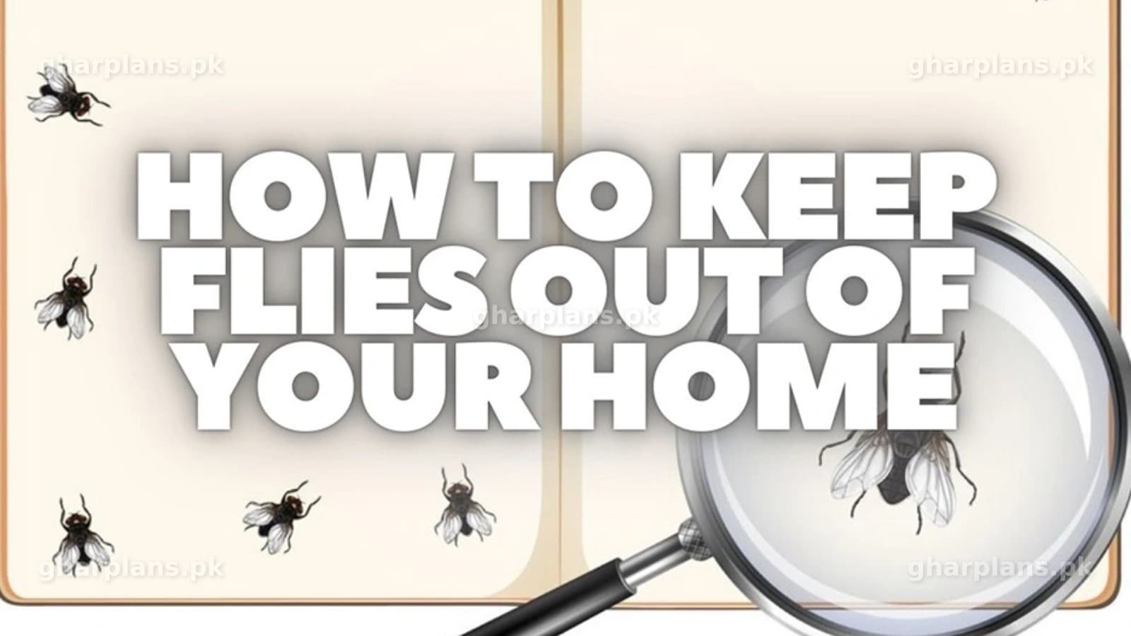 How to get Rid of House Flies: 7 Effective and Natural Fly Control Tips How to get Rid of House Flies: 7 Effective and Natural Fly Control Tips