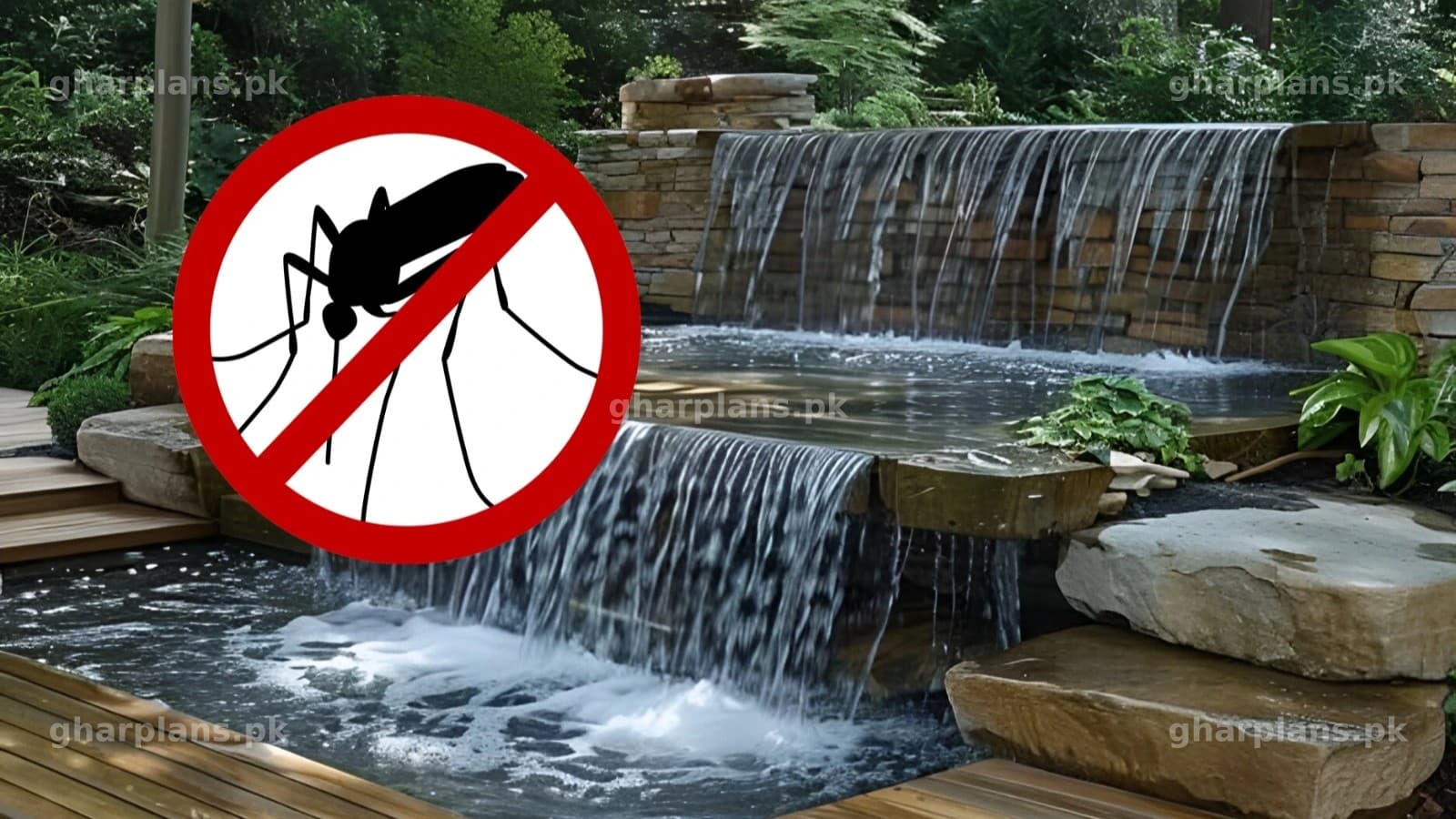 Dengue Alert: How to Keep Your Home Water Features Mosquito-Free Dengue Alert: How to Keep Your Home Water Features Mosquito-Free