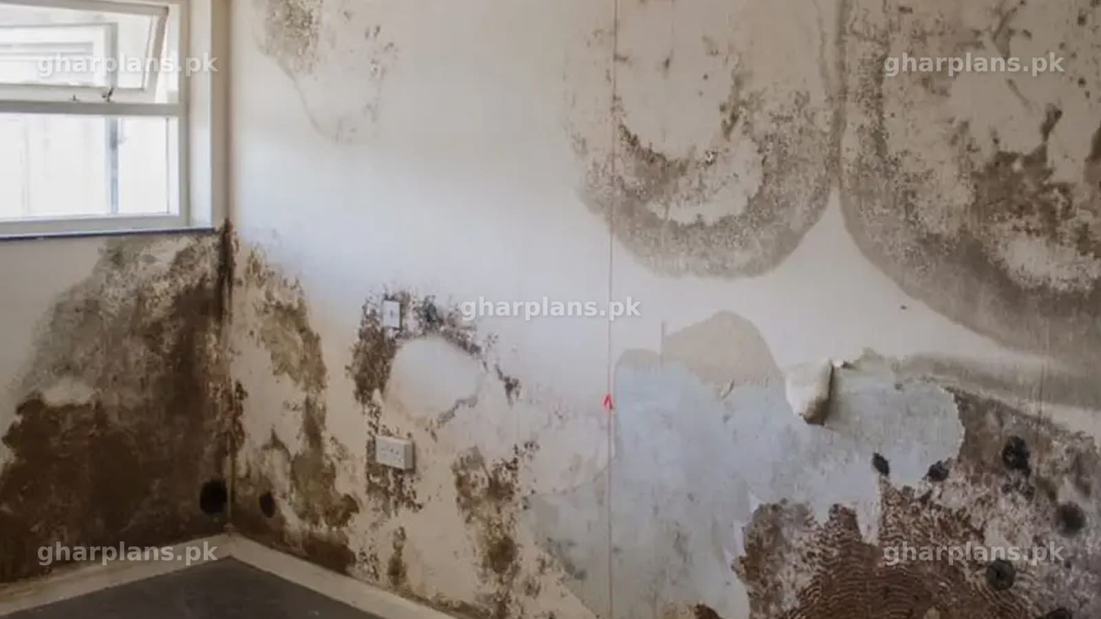 What are the negative Impacts of Seepage in Pakistani and India? What are the negative Impacts of Seepage in Pakistani and India?
